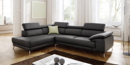 Family Leather Sofa